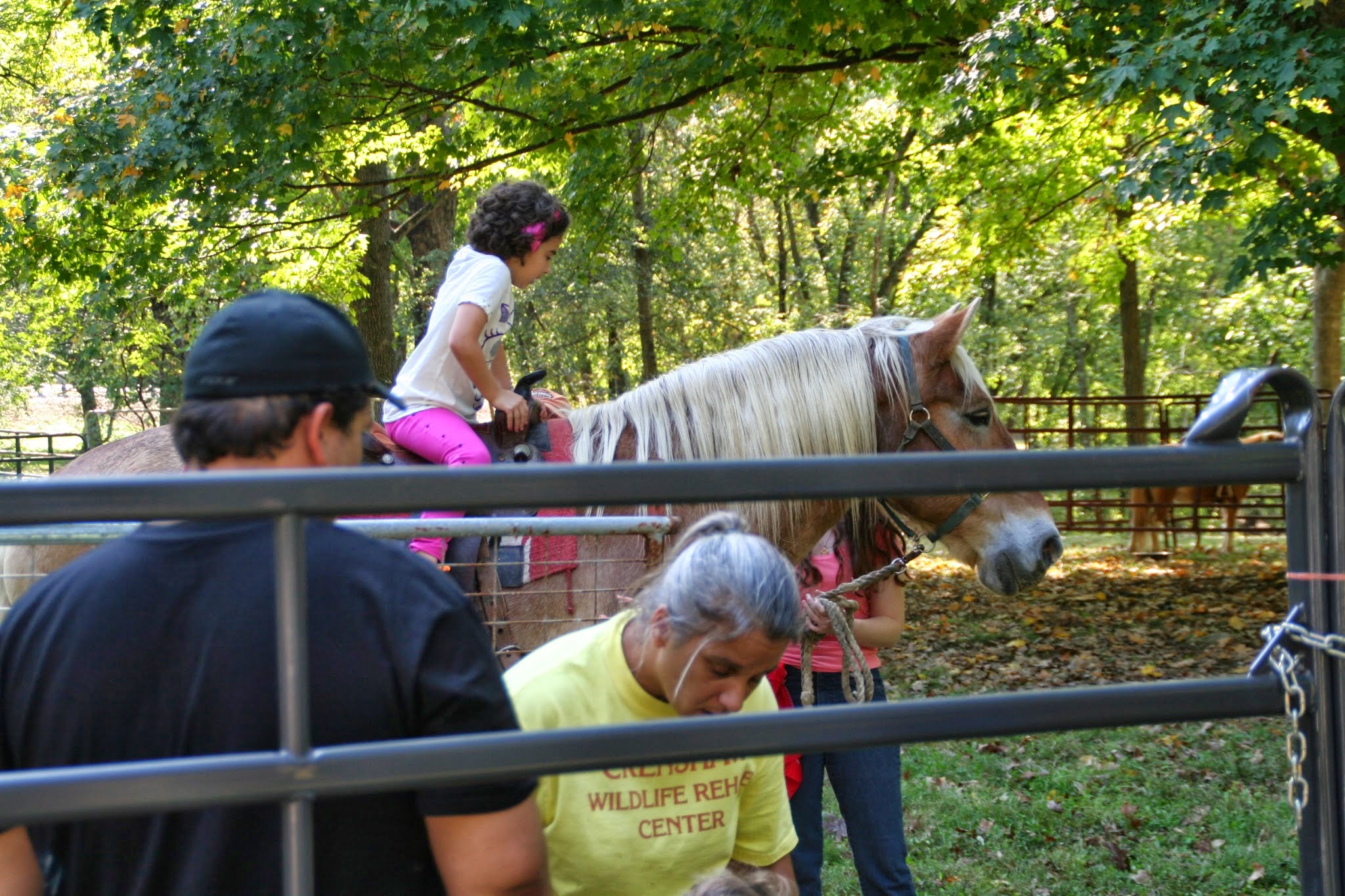 Petting Zoo Trigg County Ham Festival